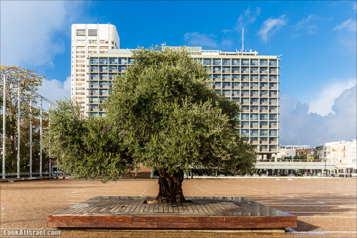 Штормовой и дождливый Тель-Авив | LookAtIsrael.com - Фото путешествия по Израилю