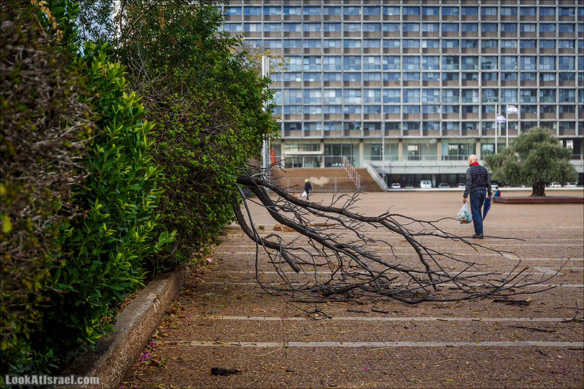 Штормовой и дождливый Тель-Авив | LookAtIsrael.com - Фото путешествия по Израилю