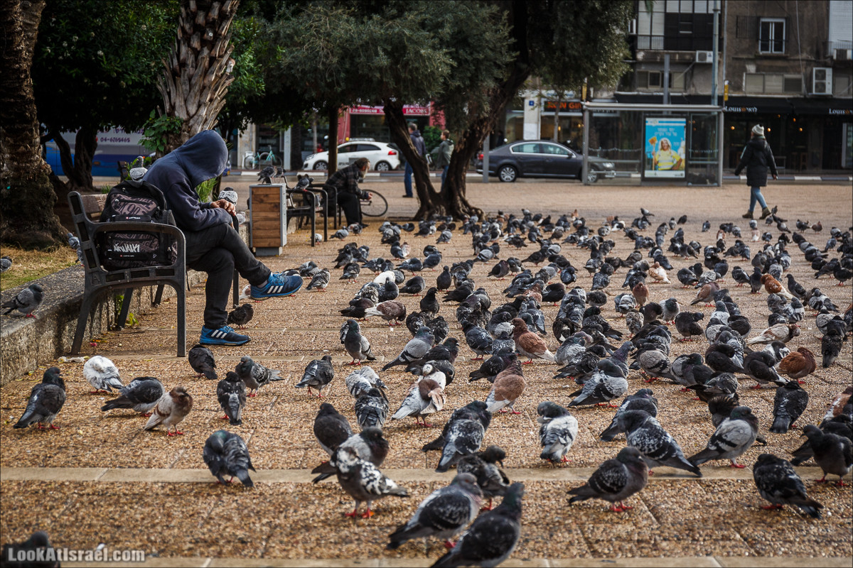 Штормовой и дождливый Тель-Авив | LookAtIsrael.com - Фото путешествия по Израилю