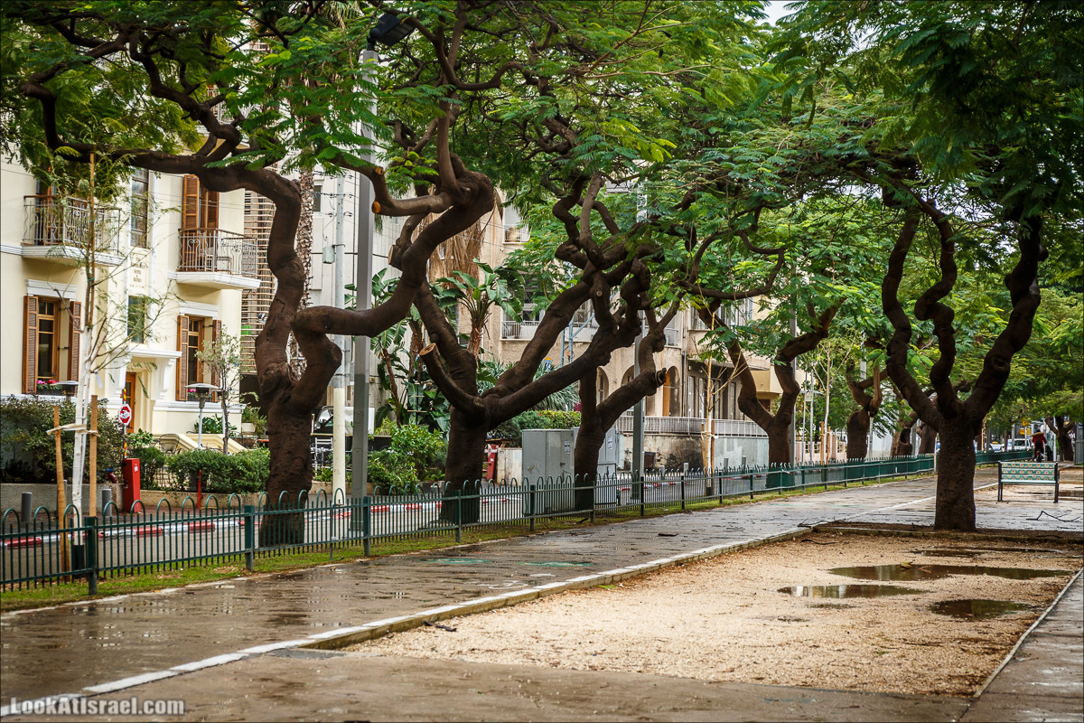 Штормовой и дождливый Тель-Авив | LookAtIsrael.com - Фото путешествия по Израилю