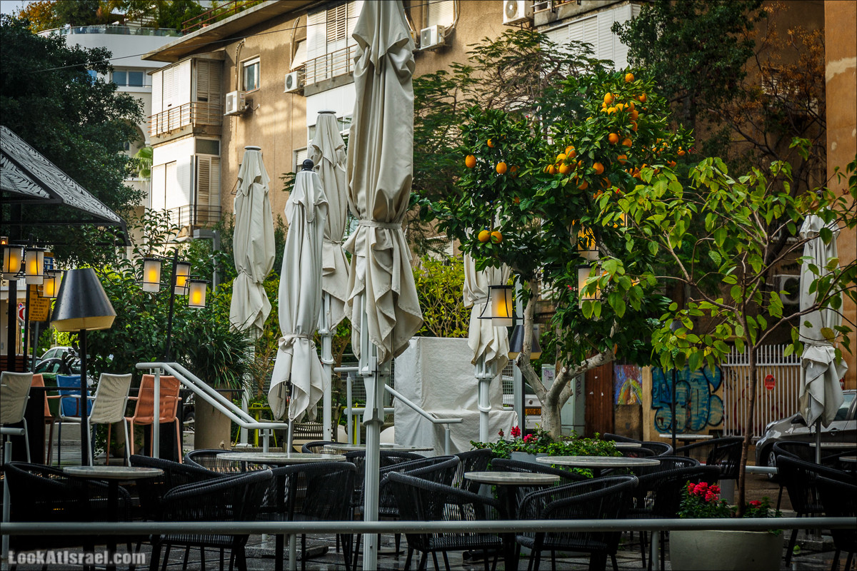 Штормовой и дождливый Тель-Авив | LookAtIsrael.com - Фото путешествия по Израилю