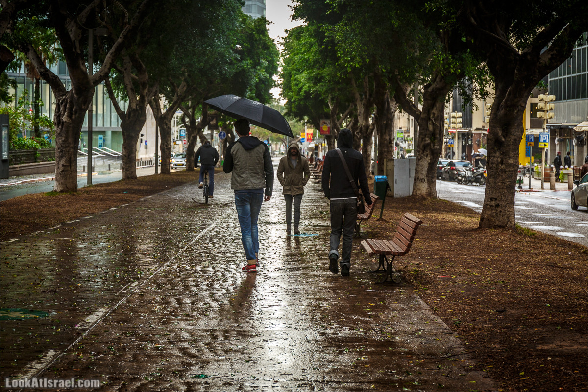 Штормовой и дождливый Тель-Авив | LookAtIsrael.com - Фото путешествия по Израилю