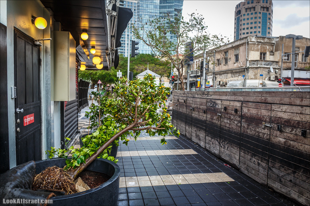 Штормовой и дождливый Тель-Авив | LookAtIsrael.com - Фото путешествия по Израилю