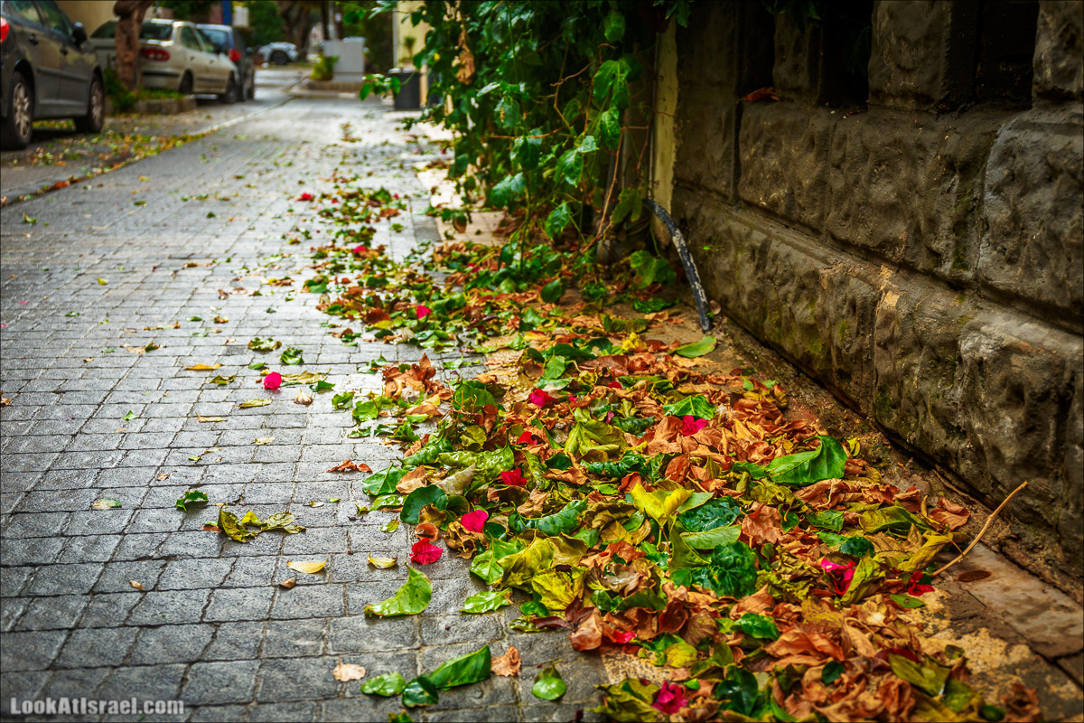 Штормовой и дождливый Тель-Авив | LookAtIsrael.com - Фото путешествия по Израилю
