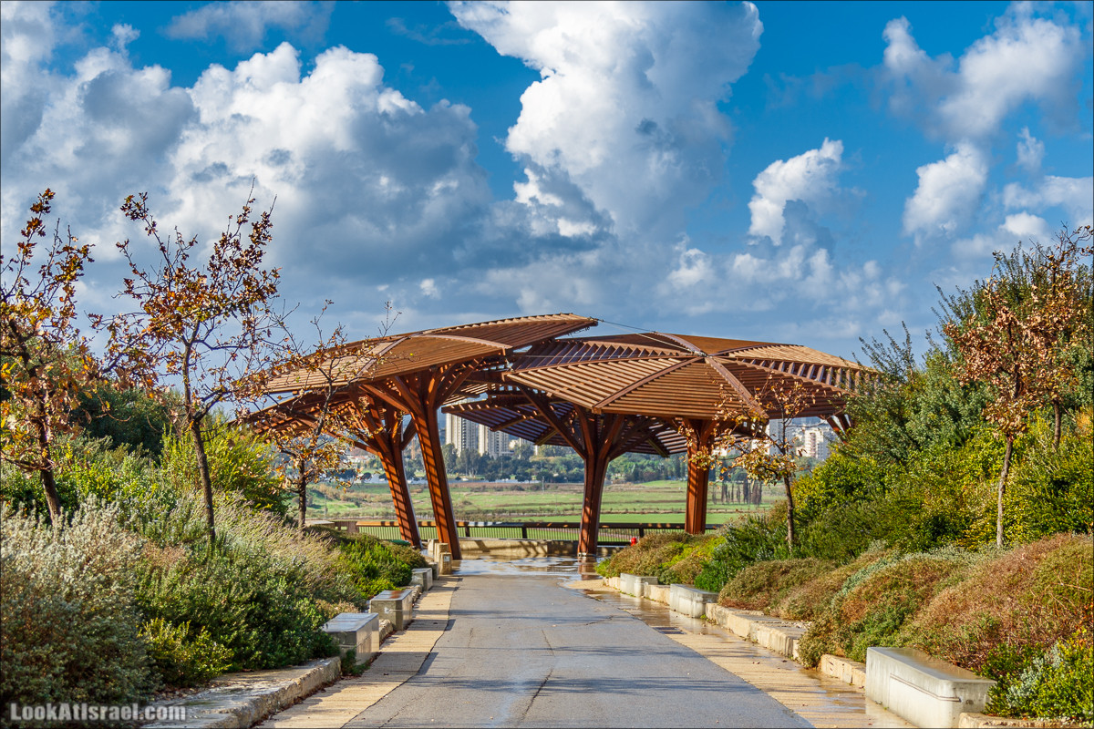 Как куча мусора превратилась в райский сад