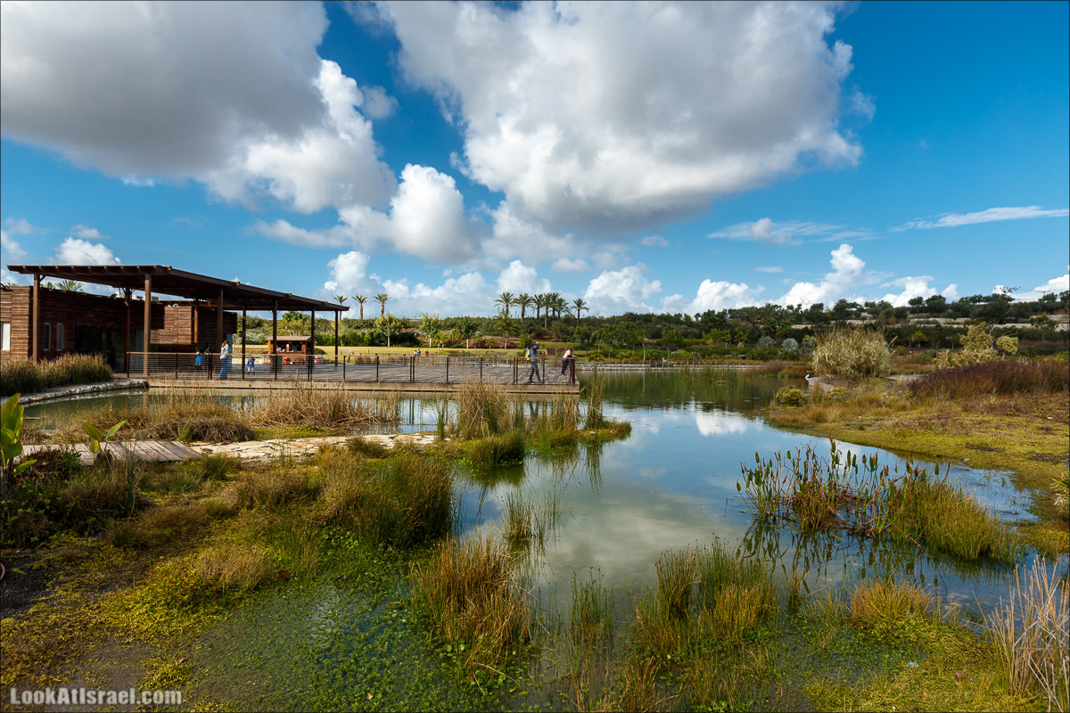 Самый большой парк в Израиле (имени Ариэля Шарона) на вершине мусорной свалки Хирия | Ariel Sharon park at trash heap Hiriya |פארק אריאל שרון בחירייה | LookAtIsrael.com - Фото путешествия по Израилю