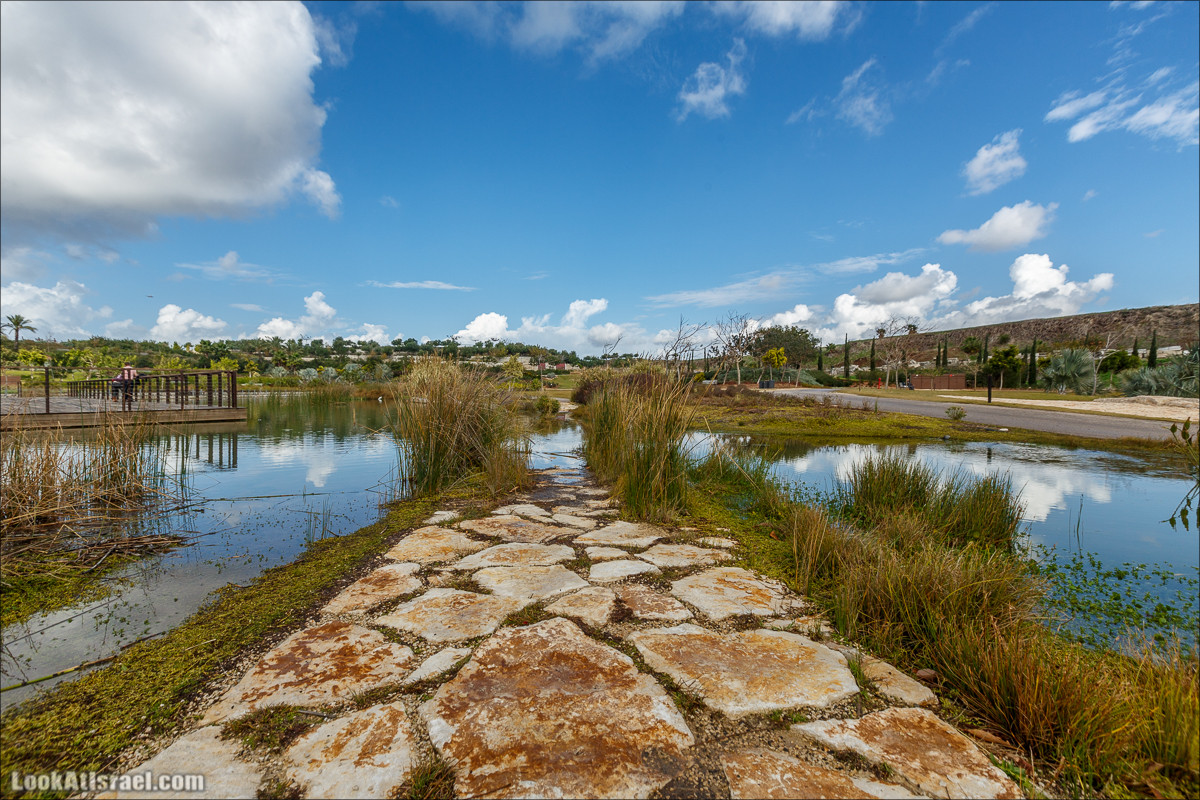 Самый большой парк в Израиле (имени Ариэля Шарона) на вершине мусорной свалки Хирия | Ariel Sharon park at trash heap Hiriya |פארק אריאל שרון בחירייה | LookAtIsrael.com - Фото путешествия по Израилю