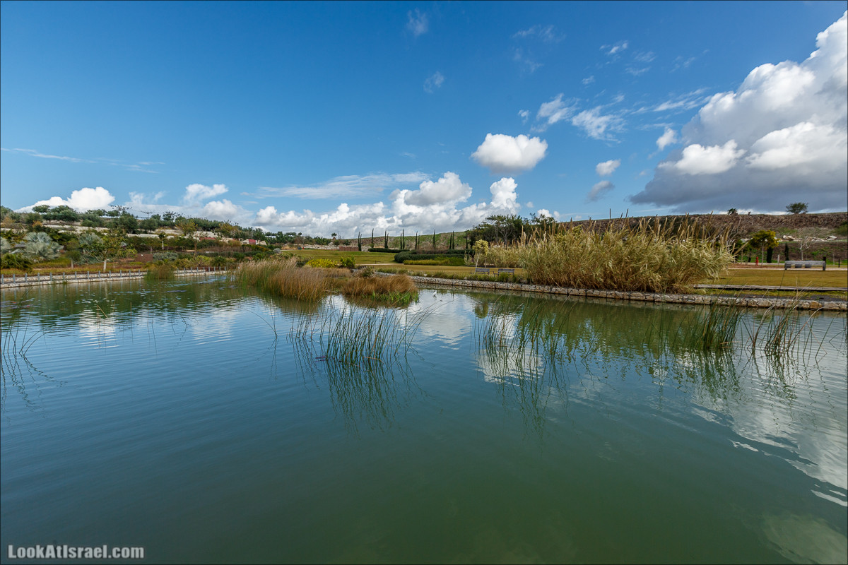 Самый большой парк в Израиле (имени Ариэля Шарона) на вершине мусорной свалки Хирия | Ariel Sharon park at trash heap Hiriya |פארק אריאל שרון בחירייה | LookAtIsrael.com - Фото путешествия по Израилю