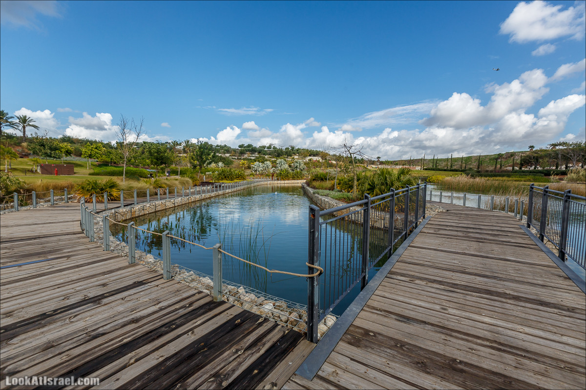 Самый большой парк в Израиле (имени Ариэля Шарона) на вершине мусорной свалки Хирия | Ariel Sharon park at trash heap Hiriya |פארק אריאל שרון בחירייה | LookAtIsrael.com - Фото путешествия по Израилю