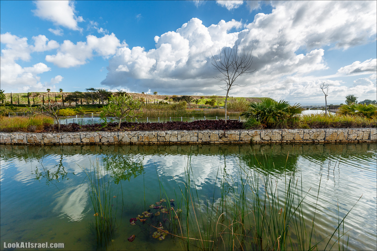 Самый большой парк в Израиле (имени Ариэля Шарона) на вершине мусорной свалки Хирия | Ariel Sharon park at trash heap Hiriya |פארק אריאל שרון בחירייה | LookAtIsrael.com - Фото путешествия по Израилю