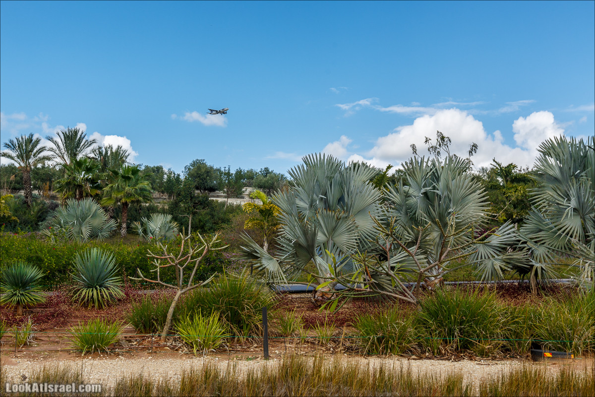 Самый большой парк в Израиле (имени Ариэля Шарона) на вершине мусорной свалки Хирия | Ariel Sharon park at trash heap Hiriya |פארק אריאל שרון בחירייה | LookAtIsrael.com - Фото путешествия по Израилю