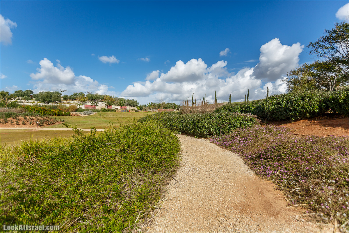 Самый большой парк в Израиле (имени Ариэля Шарона) на вершине мусорной свалки Хирия | Ariel Sharon park at trash heap Hiriya |פארק אריאל שרון בחירייה | LookAtIsrael.com - Фото путешествия по Израилю