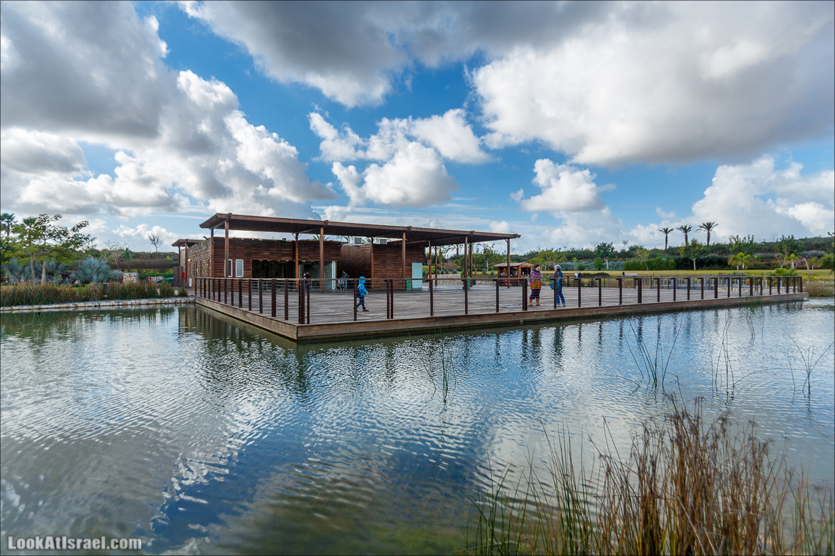 Самый большой парк в Израиле (имени Ариэля Шарона) на вершине мусорной свалки Хирия | Ariel Sharon park at trash heap Hiriya |פארק אריאל שרון בחירייה | LookAtIsrael.com - Фото путешествия по Израилю