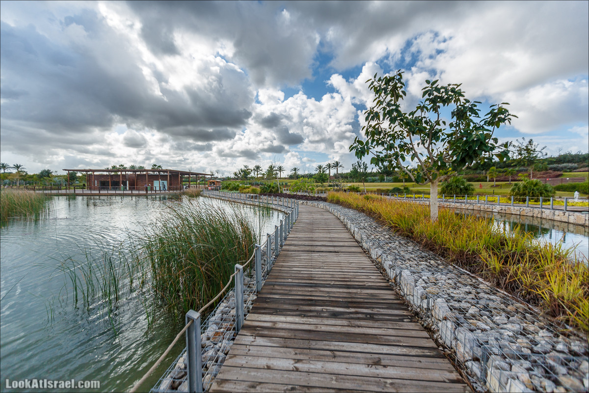 Самый большой парк в Израиле (имени Ариэля Шарона) на вершине мусорной свалки Хирия | Ariel Sharon park at trash heap Hiriya |פארק אריאל שרון בחירייה | LookAtIsrael.com - Фото путешествия по Израилю