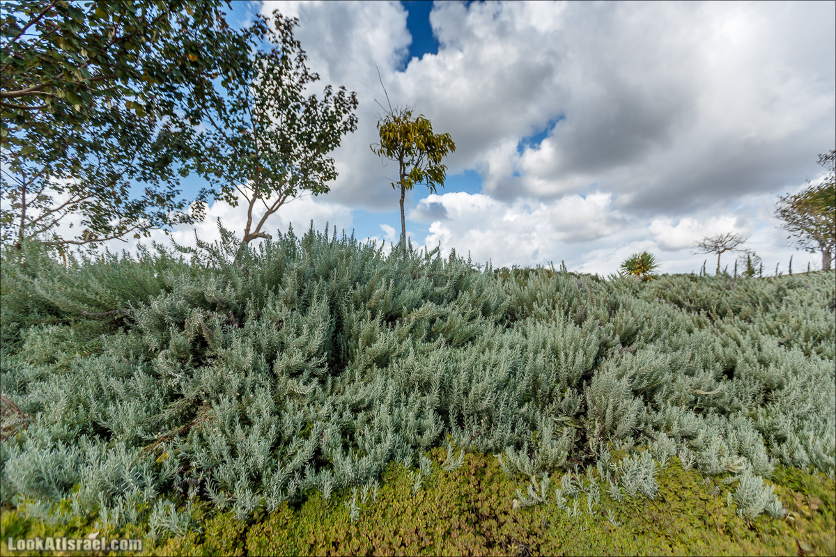Самый большой парк в Израиле (имени Ариэля Шарона) на вершине мусорной свалки Хирия | Ariel Sharon park at trash heap Hiriya |פארק אריאל שרון בחירייה | LookAtIsrael.com - Фото путешествия по Израилю