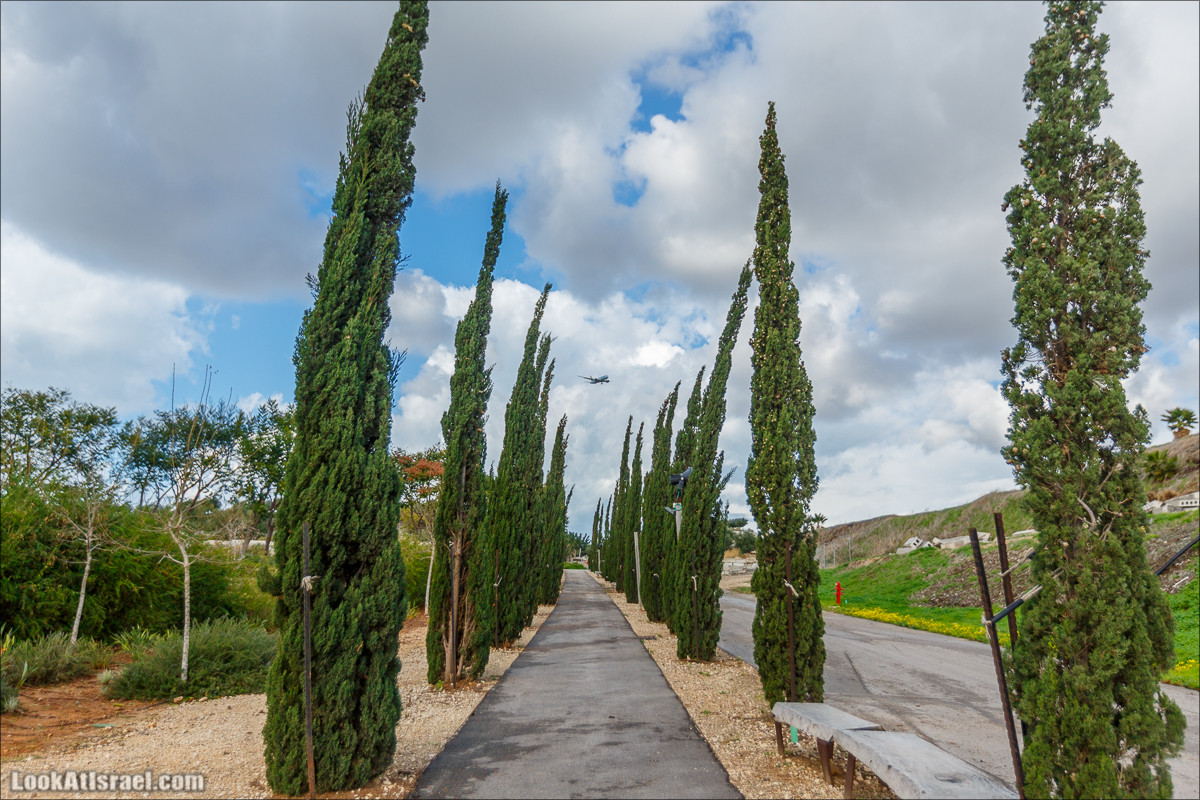 Самый большой парк в Израиле (имени Ариэля Шарона) на вершине мусорной свалки Хирия | Ariel Sharon park at trash heap Hiriya |פארק אריאל שרון בחירייה | LookAtIsrael.com - Фото путешествия по Израилю