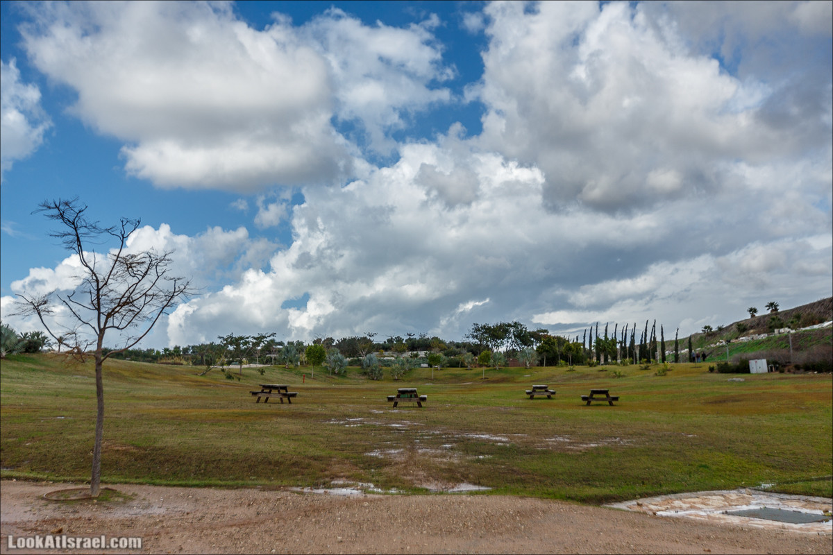 Самый большой парк в Израиле (имени Ариэля Шарона) на вершине мусорной свалки Хирия | Ariel Sharon park at trash heap Hiriya |פארק אריאל שרון בחירייה | LookAtIsrael.com - Фото путешествия по Израилю