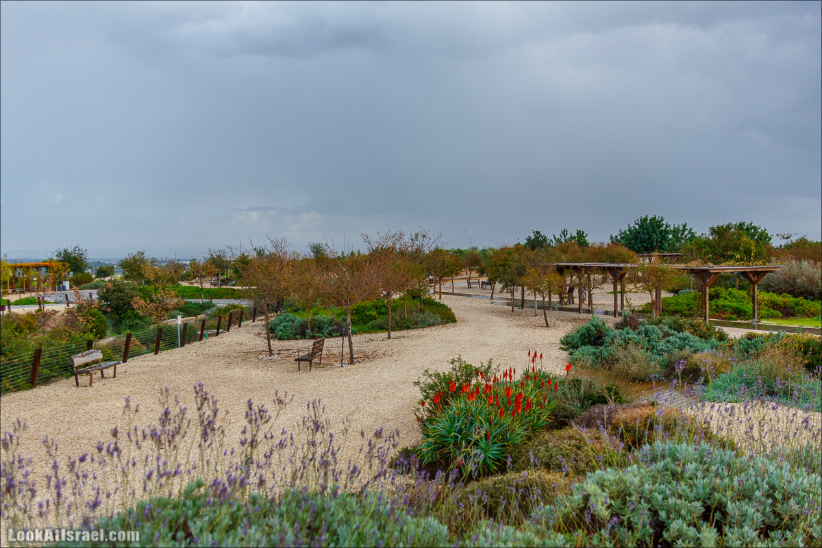 Самый большой парк в Израиле (имени Ариэля Шарона) на вершине мусорной свалки Хирия | Ariel Sharon park at trash heap Hiriya |פארק אריאל שרון בחירייה | LookAtIsrael.com - Фото путешествия по Израилю