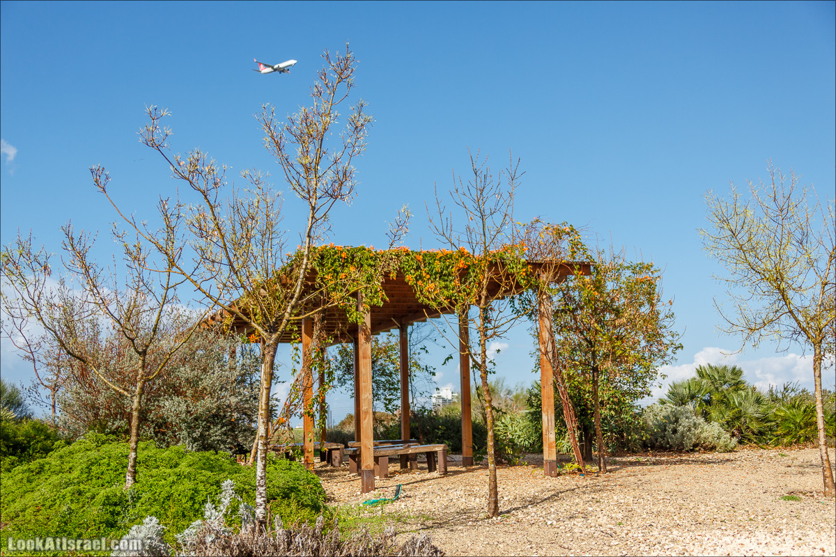 Самый большой парк в Израиле (имени Ариэля Шарона) на вершине мусорной свалки Хирия | Ariel Sharon park at trash heap Hiriya |פארק אריאל שרון בחירייה | LookAtIsrael.com - Фото путешествия по Израилю