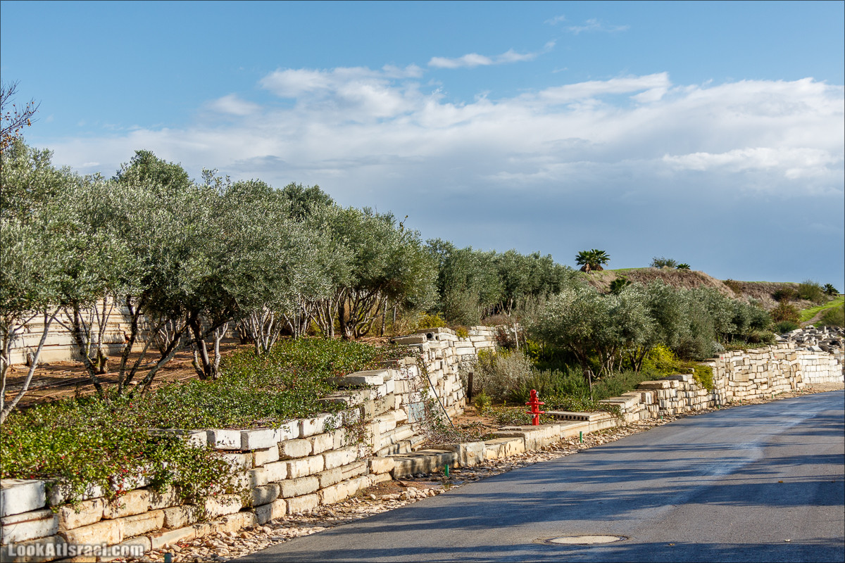 Самый большой парк в Израиле (имени Ариэля Шарона) на вершине мусорной свалки Хирия | Ariel Sharon park at trash heap Hiriya |פארק אריאל שרון בחירייה | LookAtIsrael.com - Фото путешествия по Израилю