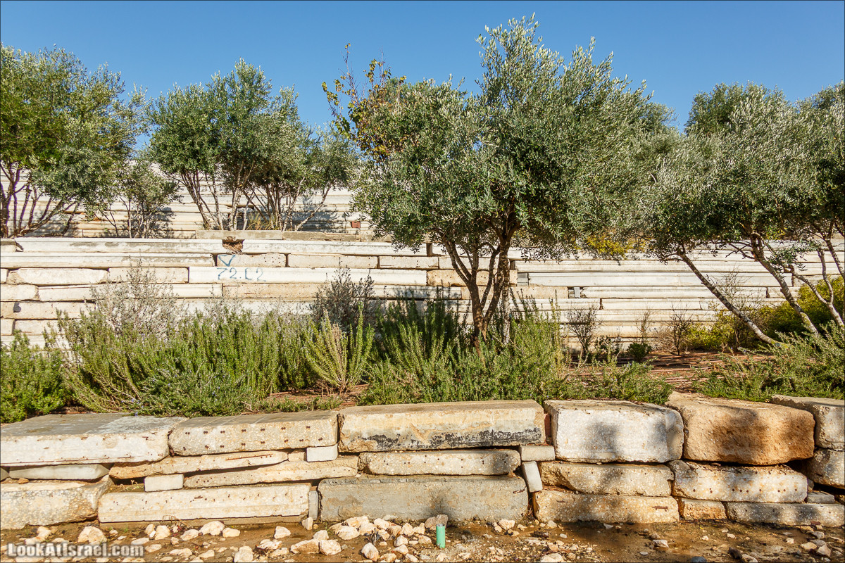Самый большой парк в Израиле (имени Ариэля Шарона) на вершине мусорной свалки Хирия | Ariel Sharon park at trash heap Hiriya |פארק אריאל שרון בחירייה | LookAtIsrael.com - Фото путешествия по Израилю