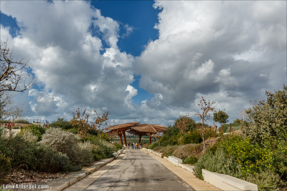 Самый большой парк в Израиле (имени Ариэля Шарона) на вершине мусорной свалки Хирия | Ariel Sharon park at trash heap Hiriya |פארק אריאל שרון בחירייה | LookAtIsrael.com - Фото путешествия по Израилю