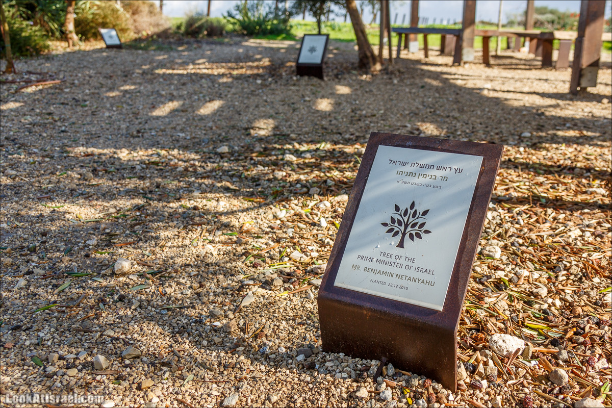 Самый большой парк в Израиле (имени Ариэля Шарона) на вершине мусорной свалки Хирия | Ariel Sharon park at trash heap Hiriya |פארק אריאל שרון בחירייה | LookAtIsrael.com - Фото путешествия по Израилю