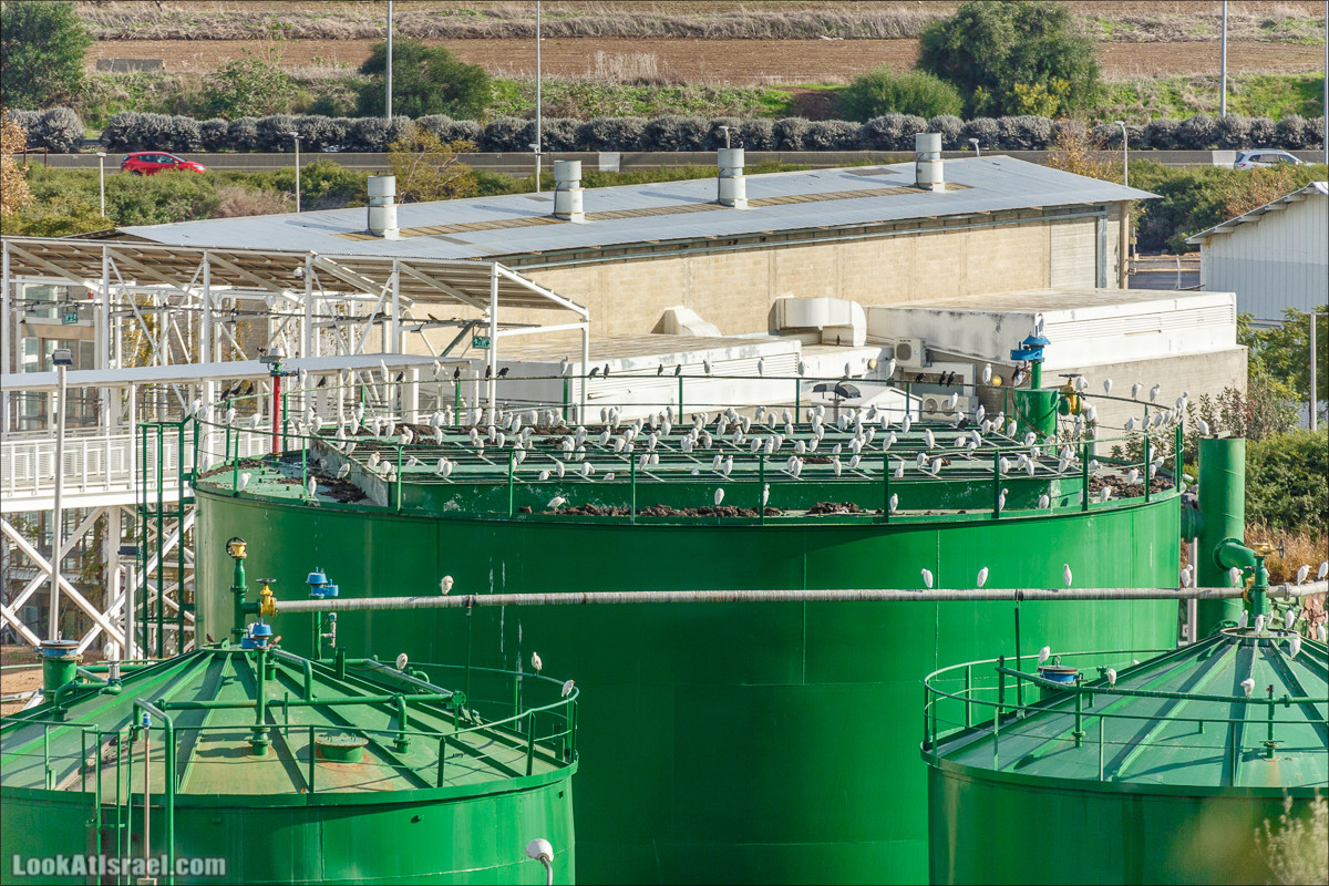 Самый большой парк в Израиле (имени Ариэля Шарона) на вершине мусорной свалки Хирия | Ariel Sharon park at trash heap Hiriya |פארק אריאל שרון בחירייה | LookAtIsrael.com - Фото путешествия по Израилю