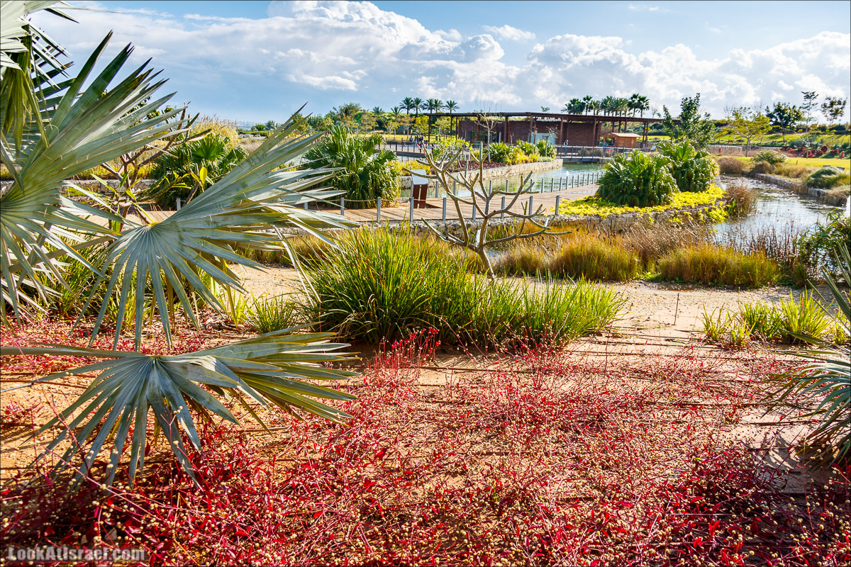 Самый большой парк в Израиле (имени Ариэля Шарона) на вершине мусорной свалки Хирия | Ariel Sharon park at trash heap Hiriya |פארק אריאל שרון בחירייה | LookAtIsrael.com - Фото путешествия по Израилю