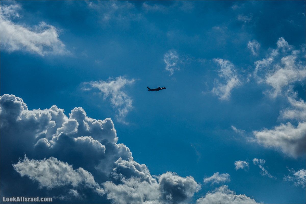 Смотровая площадка с видом на Тель-Авив в парке Ариель Шарона, Хирия | Belvedere Tel Aviv Metropolis View | פארק אריאל שרון חיריה מרפסת תצפית מטרופולינית | LookAtIsrael.com - Фото путешествия по Израилю