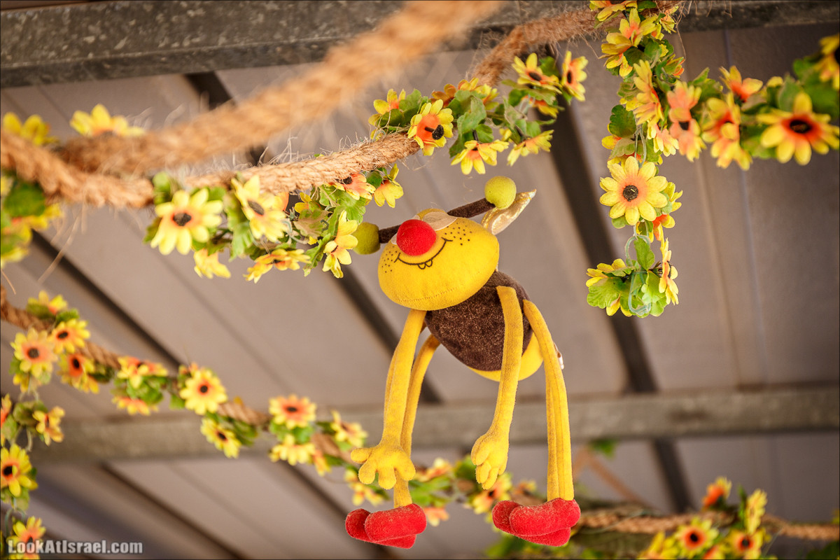 Дом мёда в Кадеш Барнеа