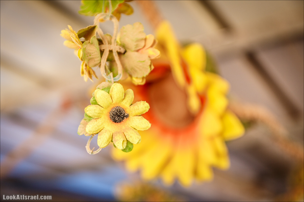Дом мёда в Кадеш Барнеа | House of the Honey in Kadesh Barnea | בית הדבש בקדש ברנע | LookAtIsrael.com - Фото путешествия по Израилю
