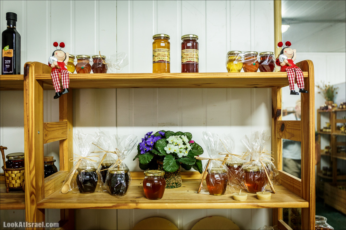 Дом мёда в Кадеш Барнеа | House of the Honey in Kadesh Barnea | בית הדבש בקדש ברנע | LookAtIsrael.com - Фото путешествия по Израилю