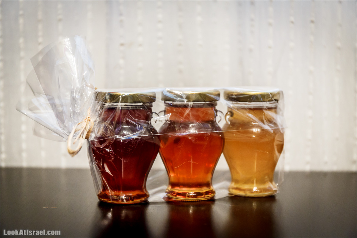 Дом мёда в Кадеш Барнеа | House of the Honey in Kadesh Barnea | בית הדבש בקדש ברנע | LookAtIsrael.com - Фото путешествия по Израилю