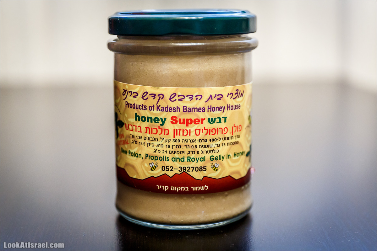 Дом мёда в Кадеш Барнеа | House of the Honey in Kadesh Barnea | בית הדבש בקדש ברנע | LookAtIsrael.com - Фото путешествия по Израилю