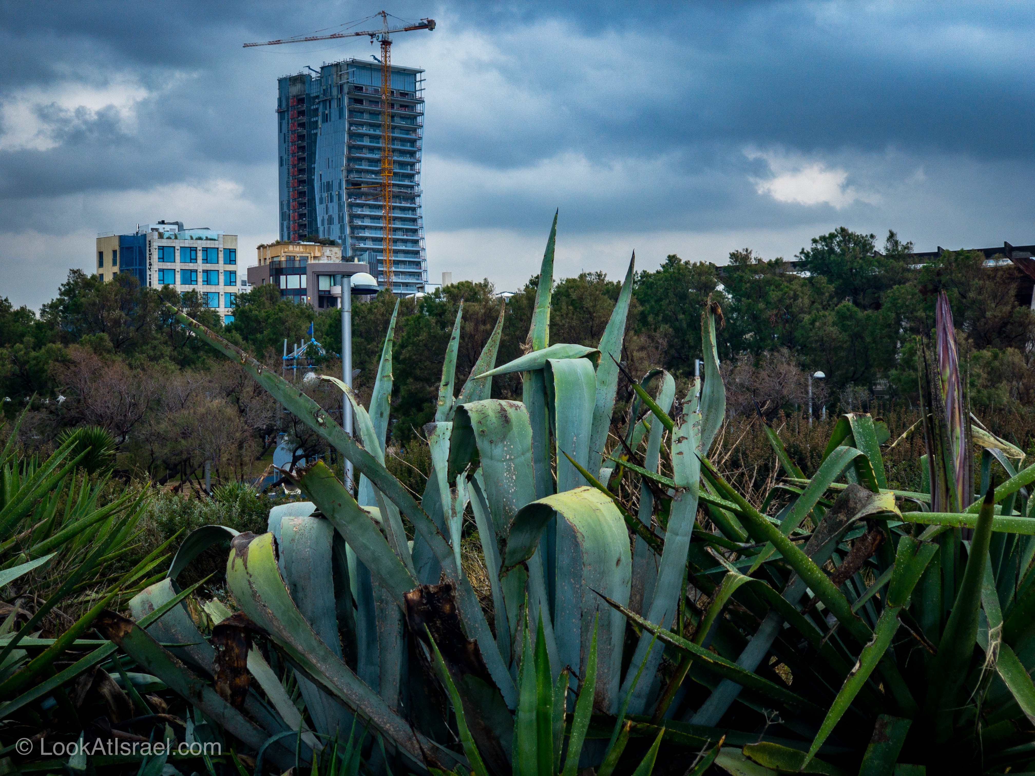 Дождливая зима в Тель-Авиве | LookAtIsrael.com - Фото путешествия по Израилю