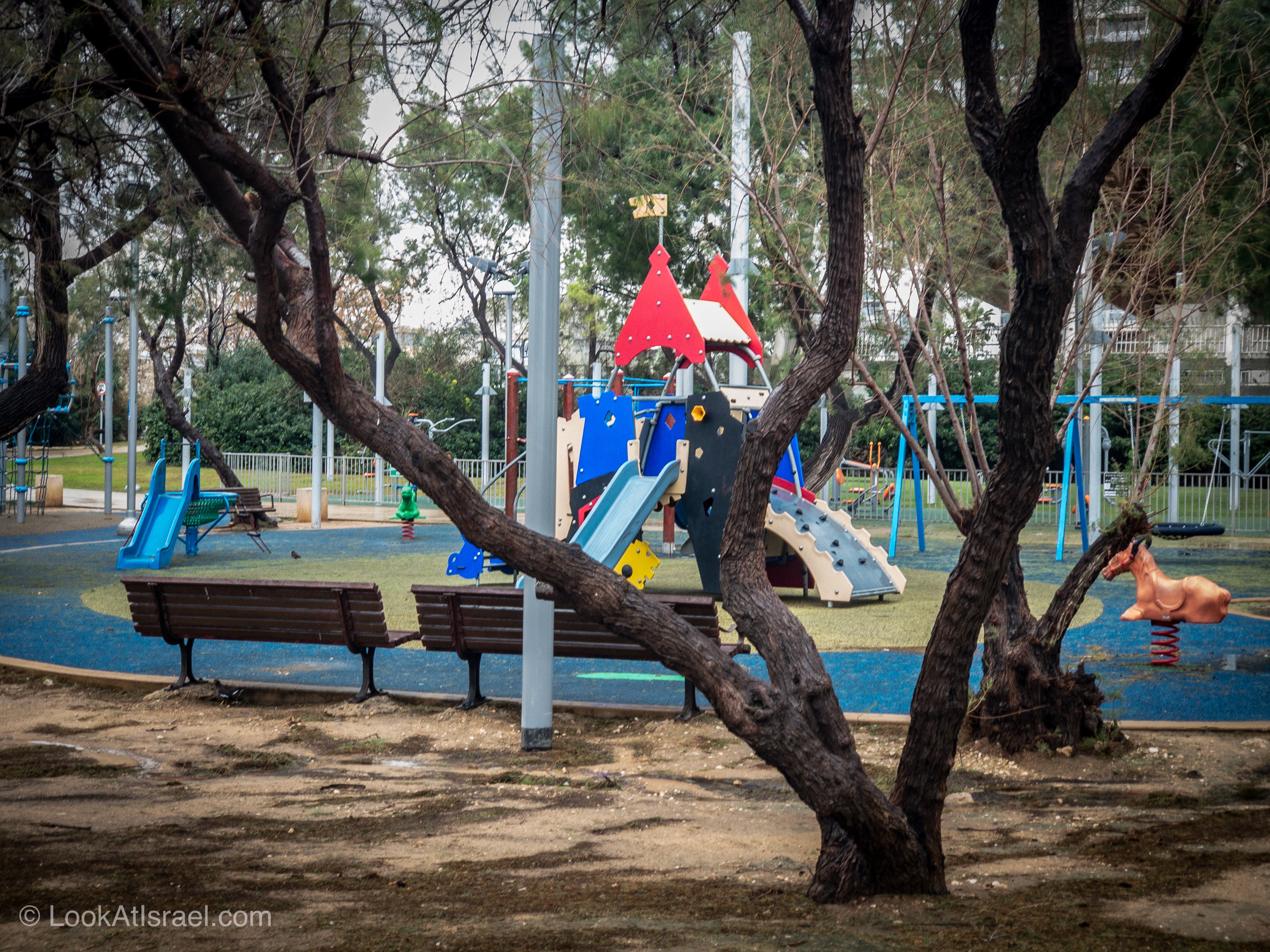 Дождливая зима в Тель-Авиве | LookAtIsrael.com - Фото путешествия по Израилю