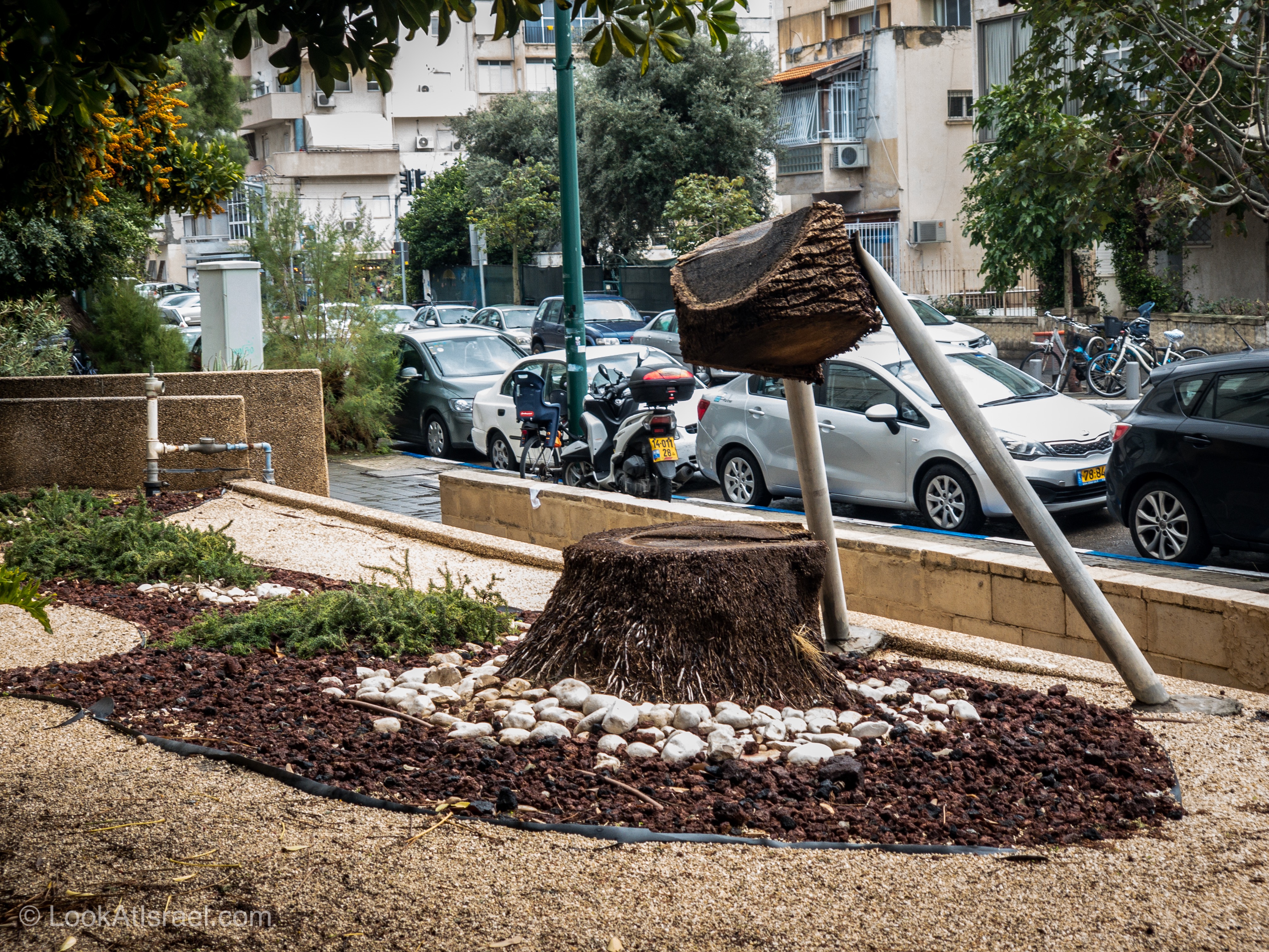 Дождливая зима в Тель-Авиве | LookAtIsrael.com - Фото путешествия по Израилю