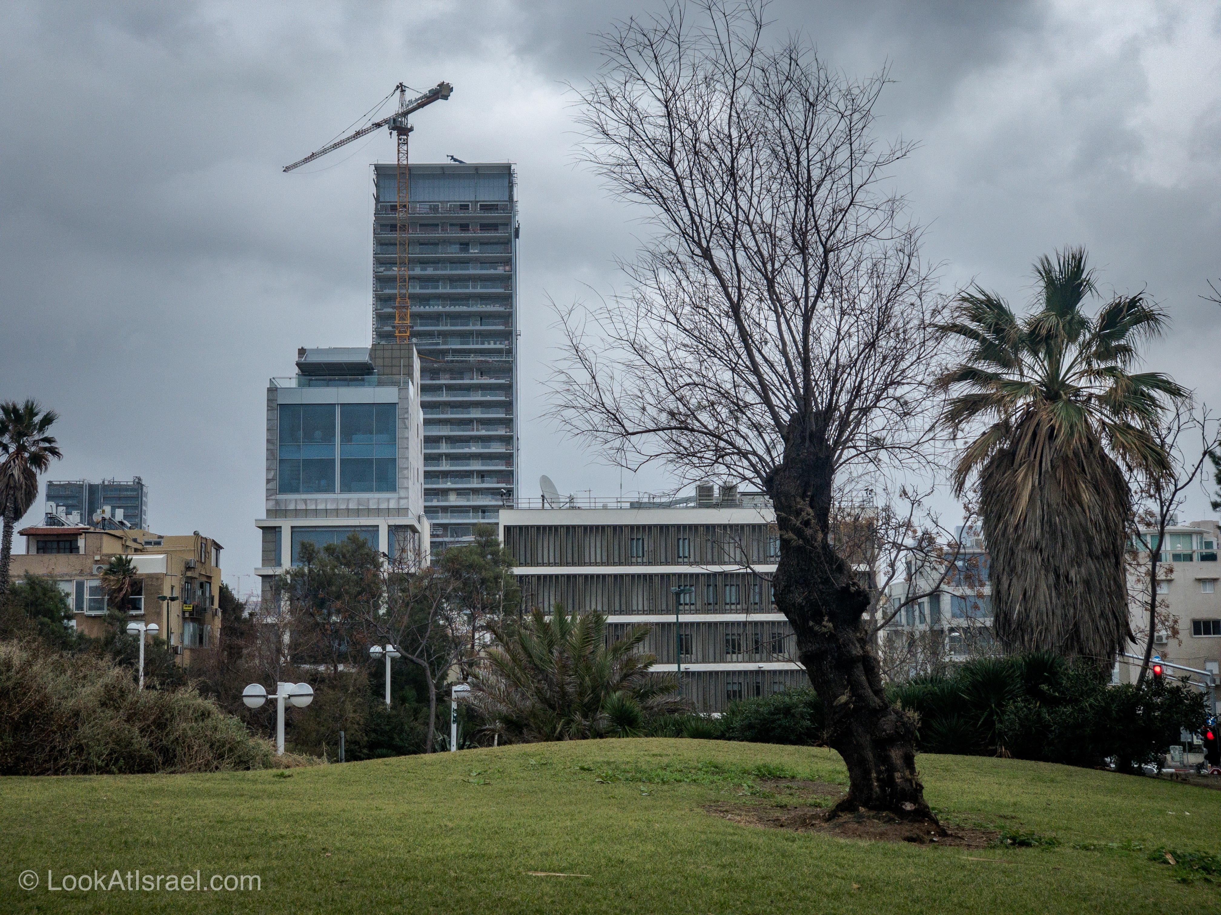 Дождливая зима в Тель-Авиве | LookAtIsrael.com - Фото путешествия по Израилю