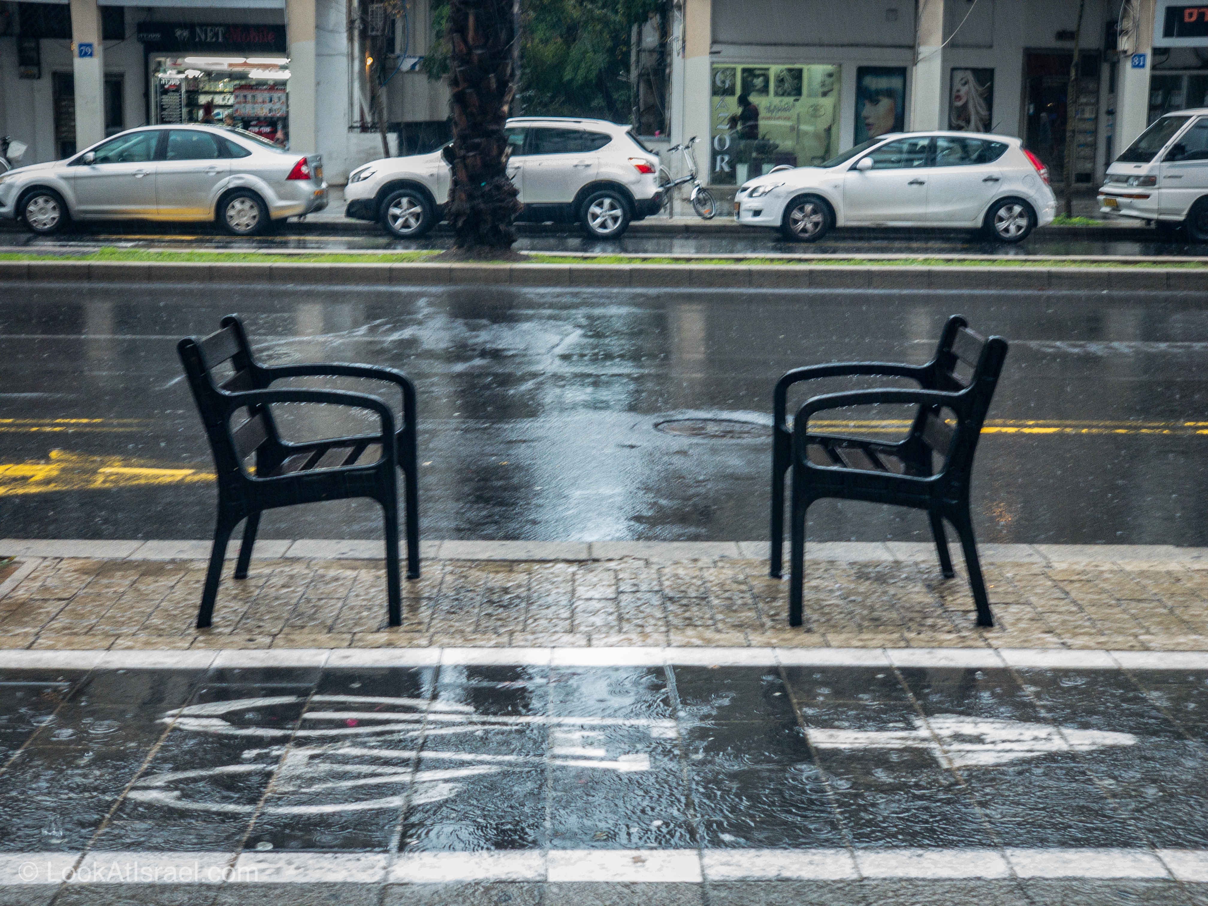 Дождливая зима в Тель-Авиве | LookAtIsrael.com - Фото путешествия по Израилю