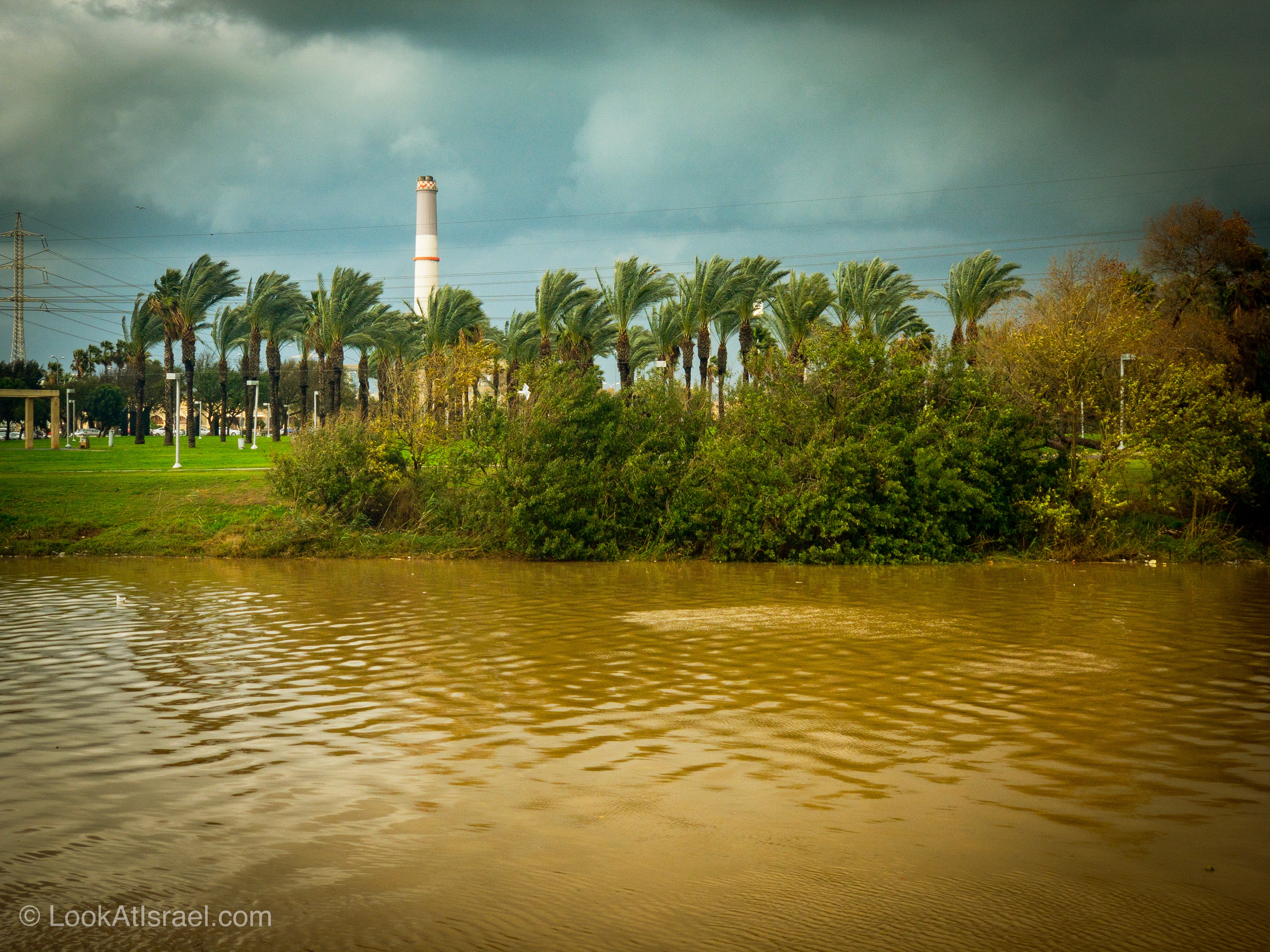 Дождливая зима в Тель-Авиве | LookAtIsrael.com - Фото путешествия по Израилю