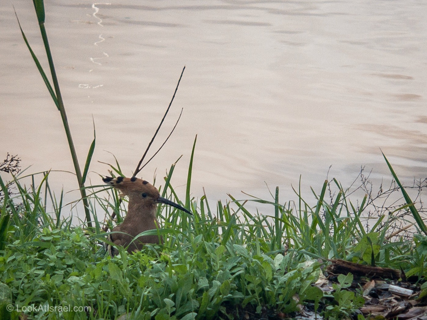 Дождливая зима в Тель-Авиве | LookAtIsrael.com - Фото путешествия по Израилю