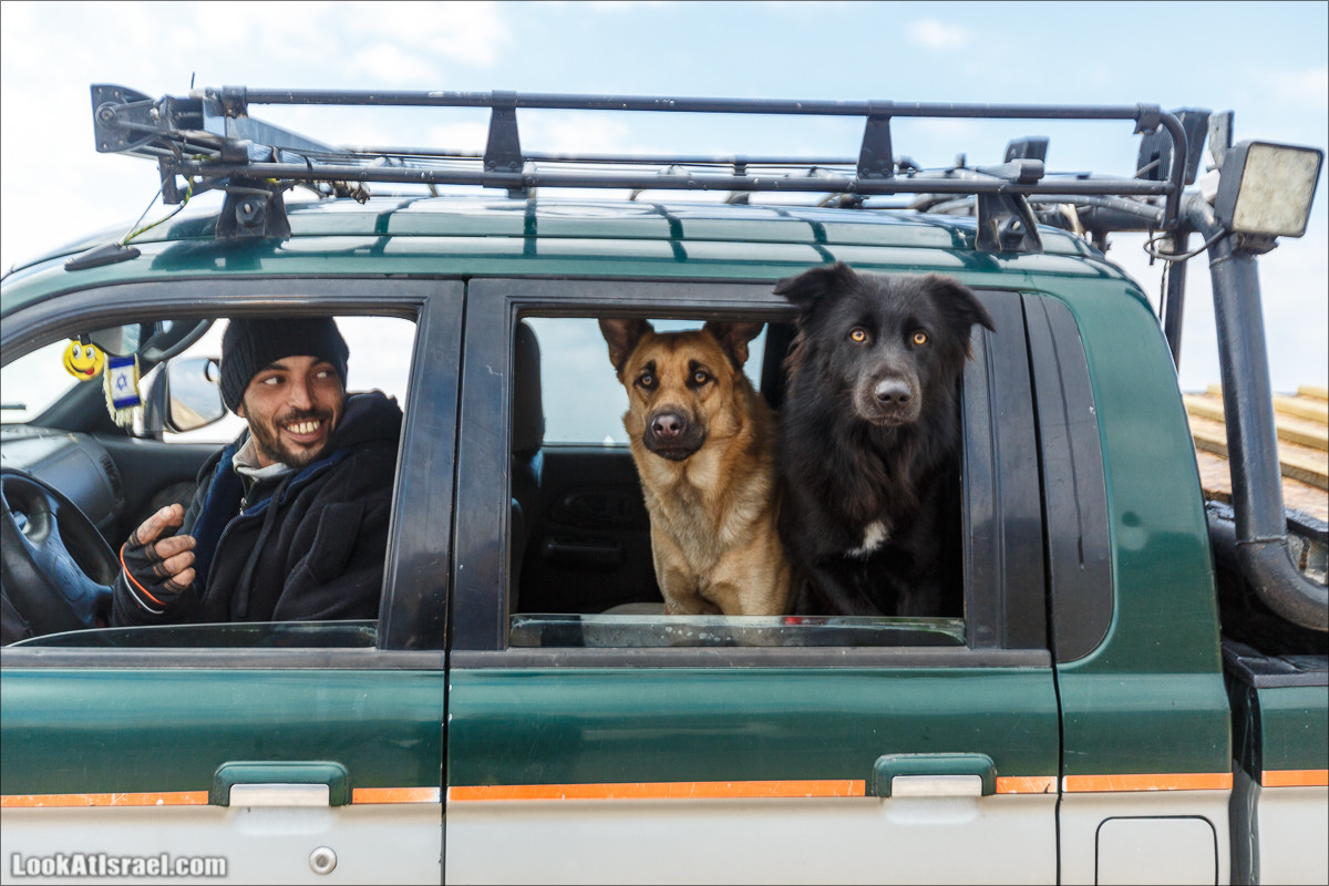 Голанские высоты - водопады и исторические места | LookAtIsrael.com - Фото путешествия по Израилю