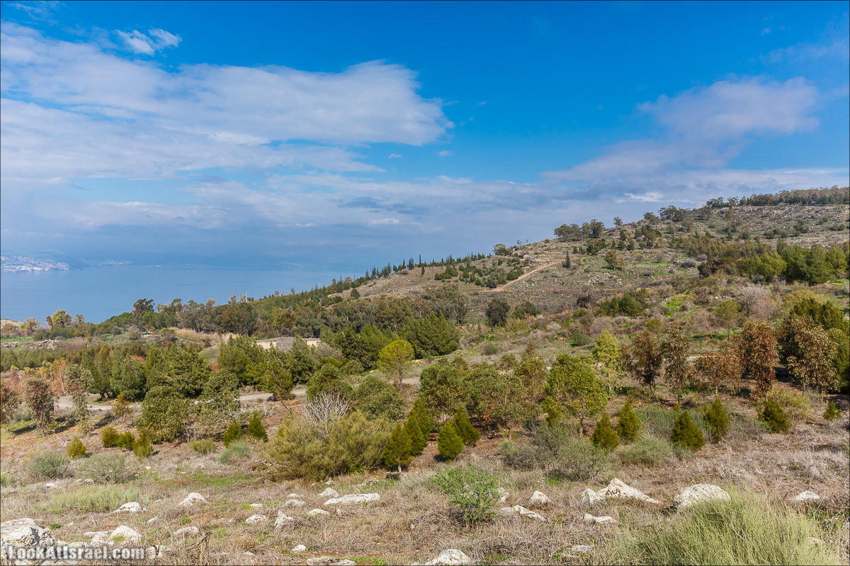 Смотровая площадка Кинерет Мендель, Голанские высоты - водопады и исторические места | LookAtIsrael.com - Фото путешествия по Израилю