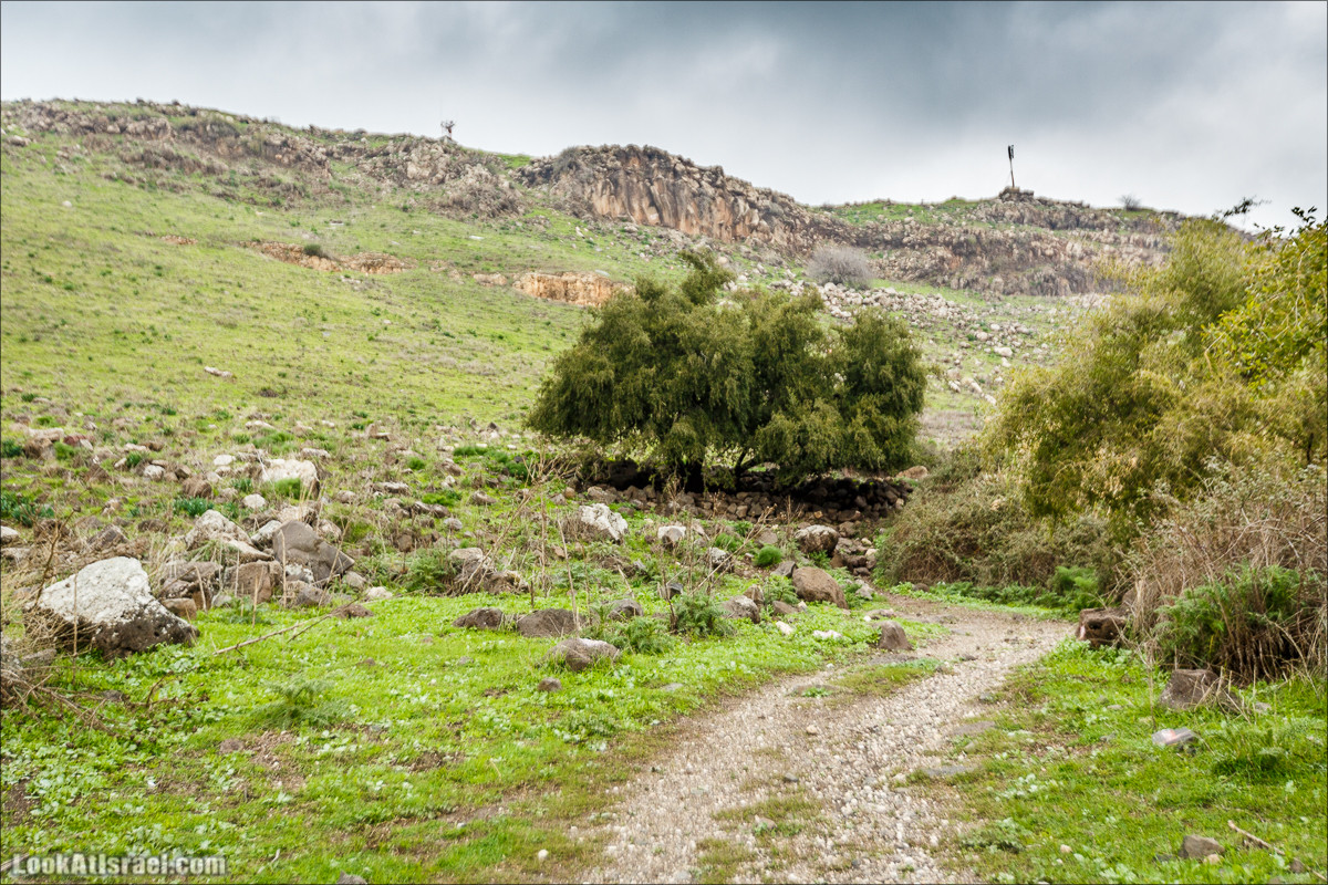 Голанские высоты - водопады и исторические места | LookAtIsrael.com - Фото путешествия по Израилю