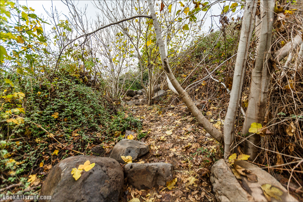 Голанские высоты - водопады и исторические места | LookAtIsrael.com - Фото путешествия по Израилю