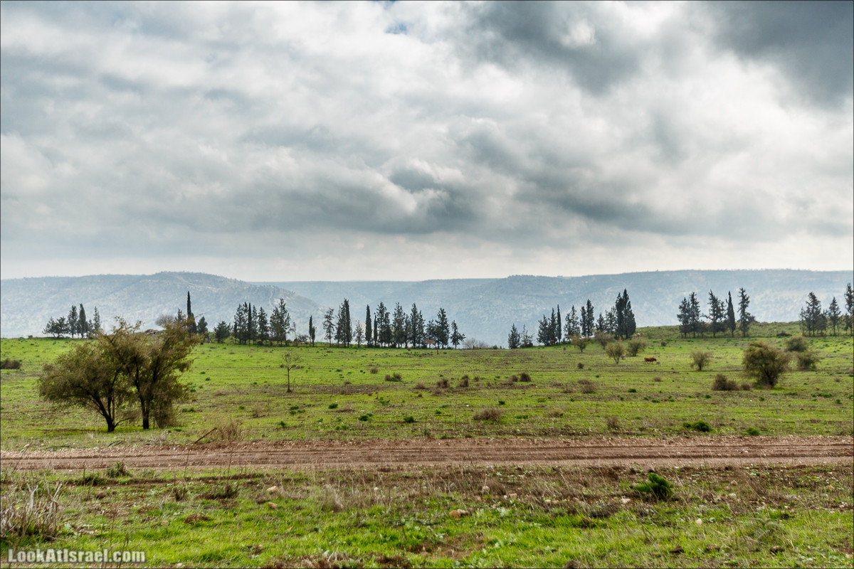 Голанские высоты - водопады и исторические места | LookAtIsrael.com - Фото путешествия по Израилю
