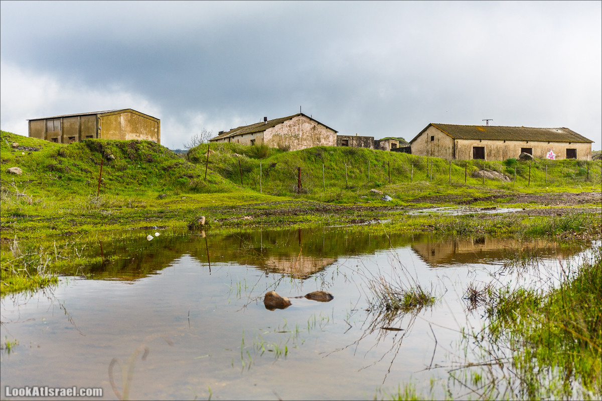 Голанские высоты - водопады и исторические места | LookAtIsrael.com - Фото путешествия по Израилю