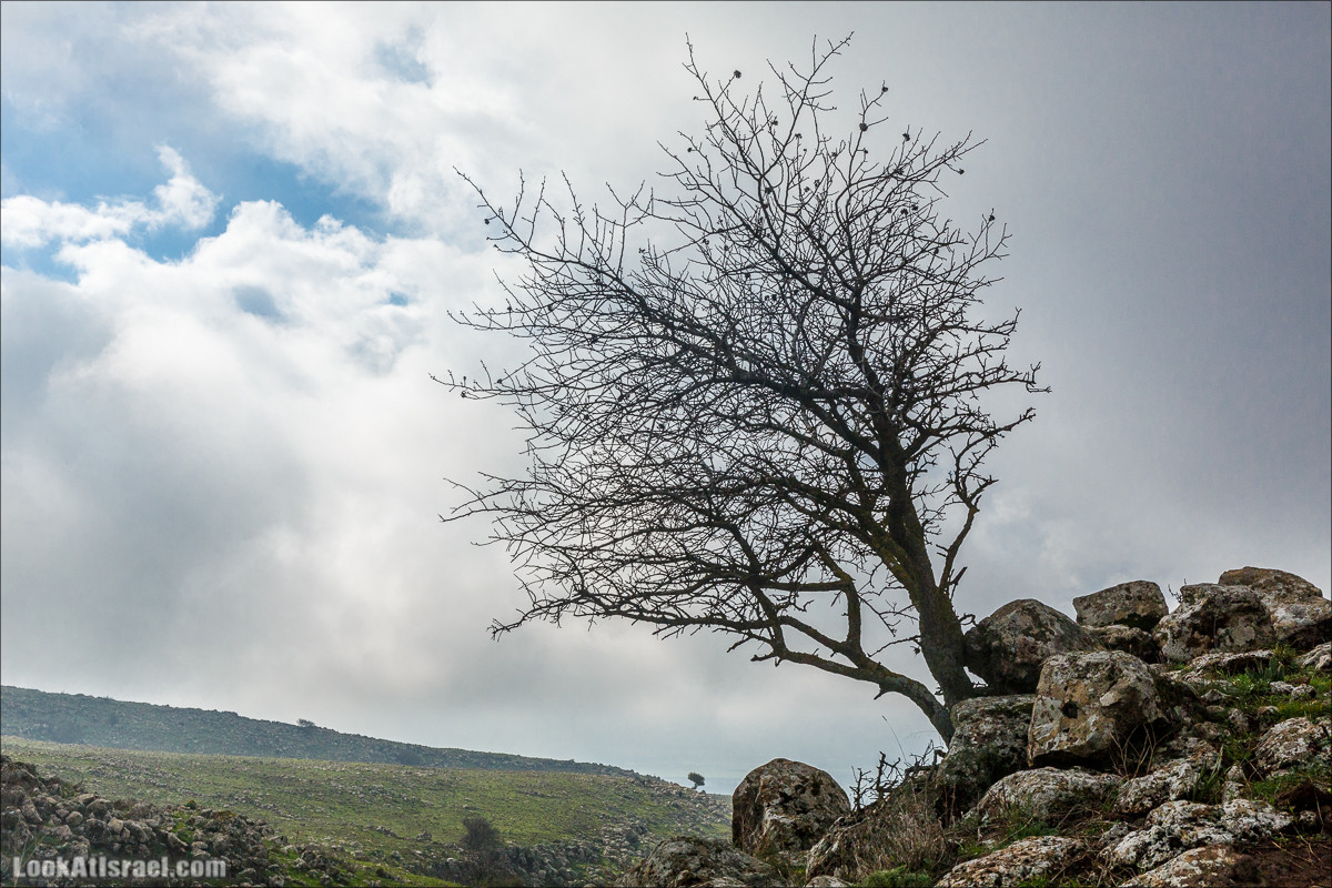Голанские высоты - водопады и исторические места | LookAtIsrael.com - Фото путешествия по Израилю