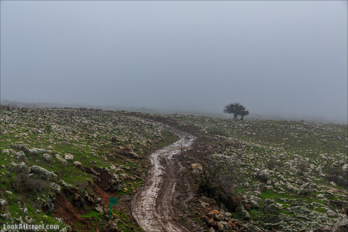 Голанские высоты - водопады и исторические места | LookAtIsrael.com - Фото путешествия по Израилю